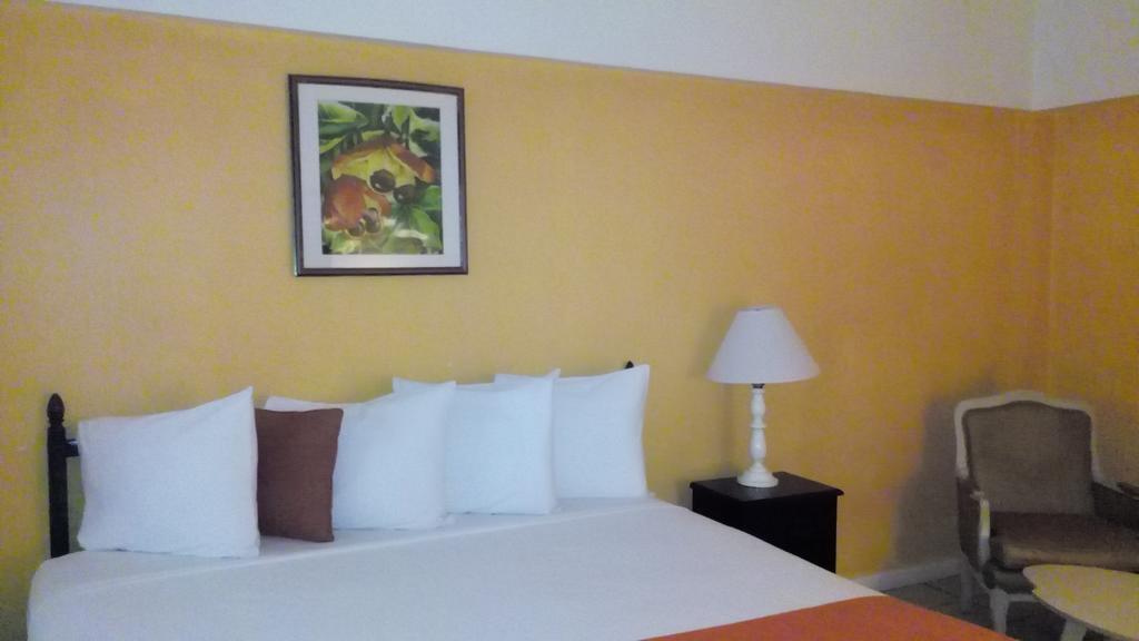 Pineapple Court Hotel オーチョ・リオス エクステリア 写真