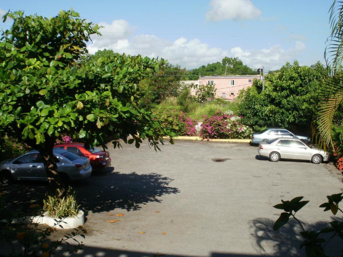 Pineapple Court Hotel オーチョ・リオス エクステリア 写真